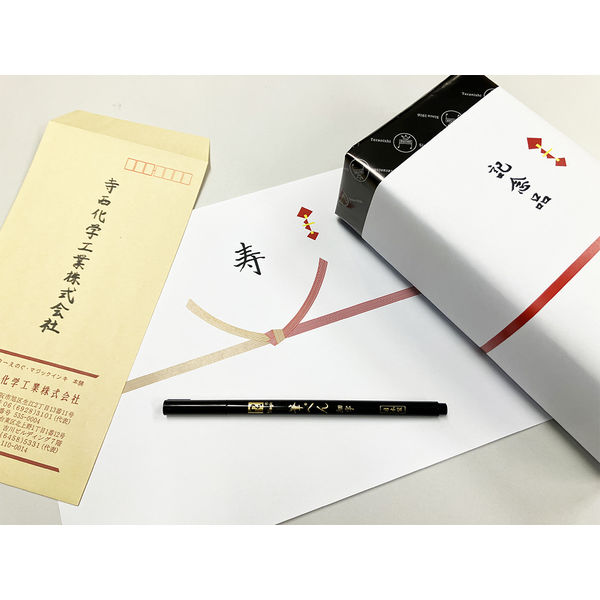 Teranishi Chemical Magic Brush Pen - Fine